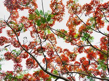 《装甲核心6》IGN评8分：机甲战优秀 剧情平淡乏味